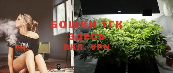 дмт Касимов