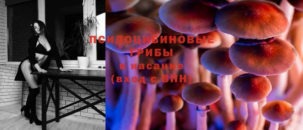 винт Карпинск