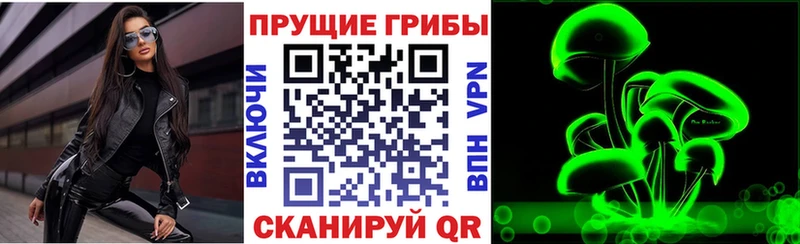 Псилоцибиновые грибы Psilocybine cubensis  Купить где  Вышний Волочёк 